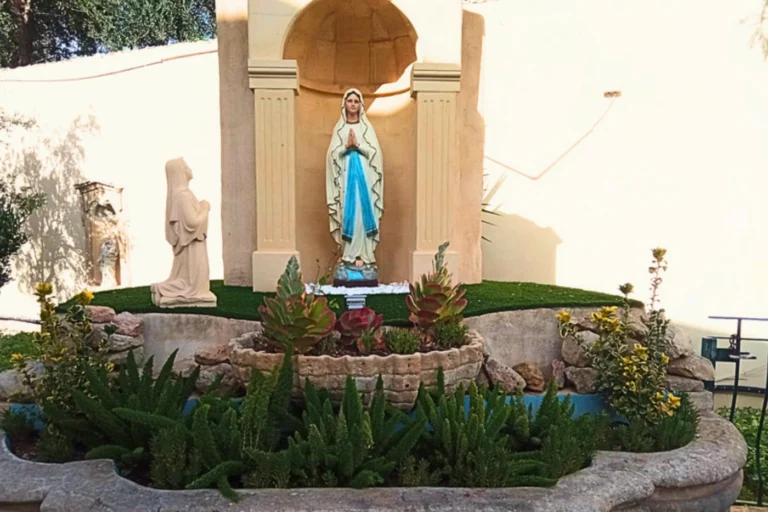 Daily Holy Mass Schedule